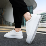 Bernardo | Chic Tenisice